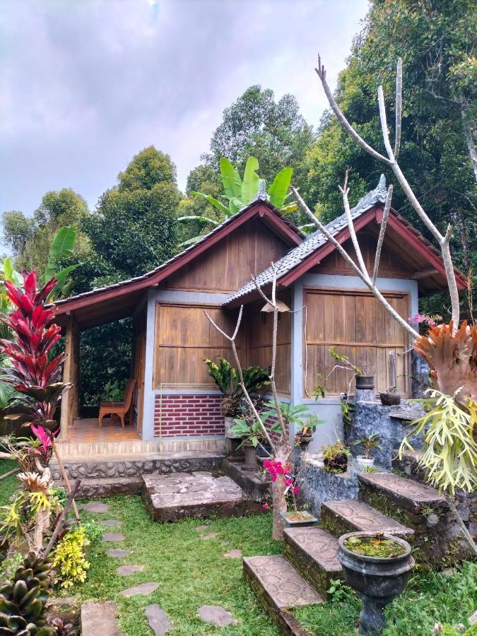 Friendly Homestay Lemukih Singaraja Esterno foto