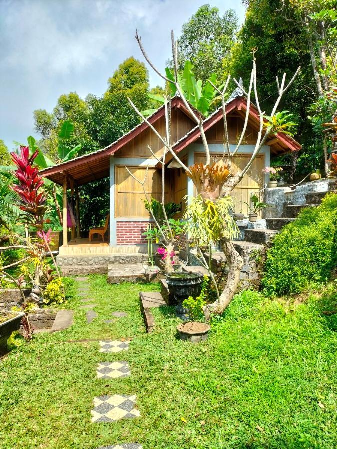 Friendly Homestay Lemukih Singaraja Esterno foto