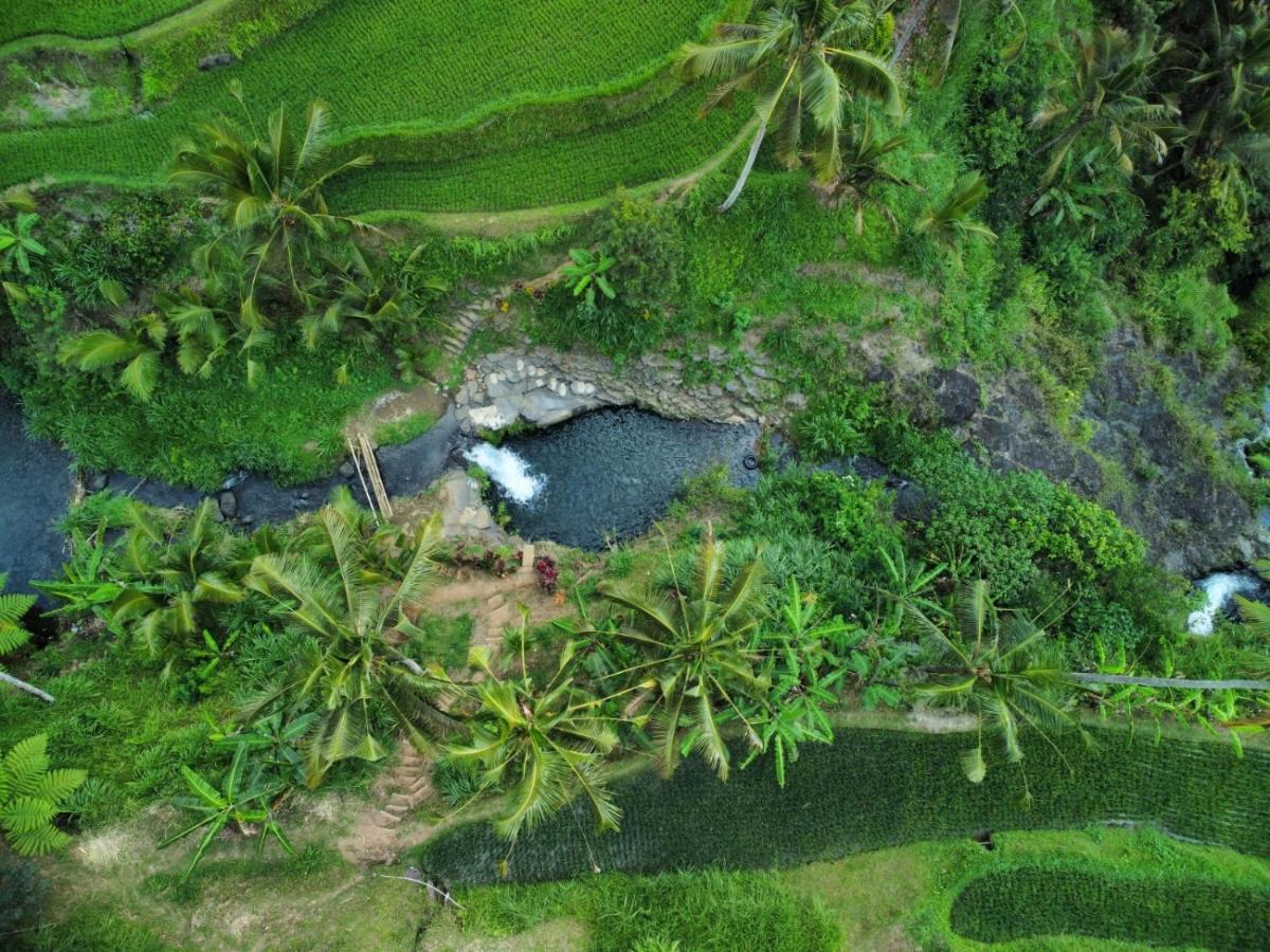 Friendly Homestay Lemukih Singaraja Esterno foto
