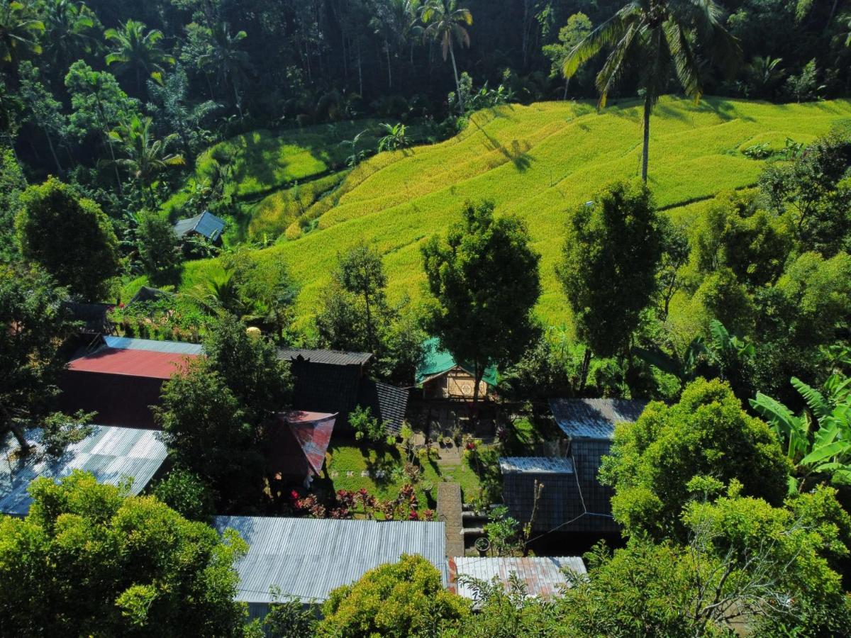 Friendly Homestay Lemukih Singaraja Esterno foto