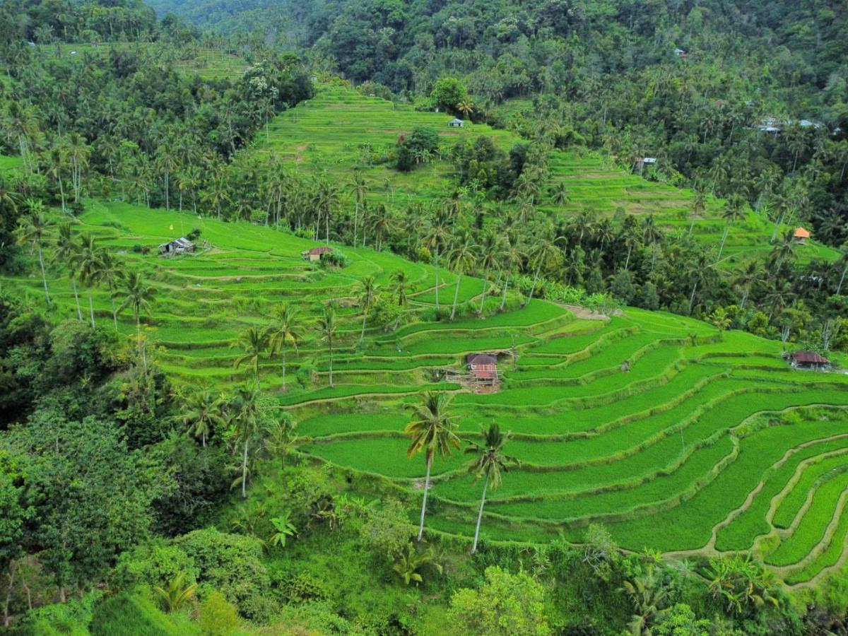 Friendly Homestay Lemukih Singaraja Esterno foto